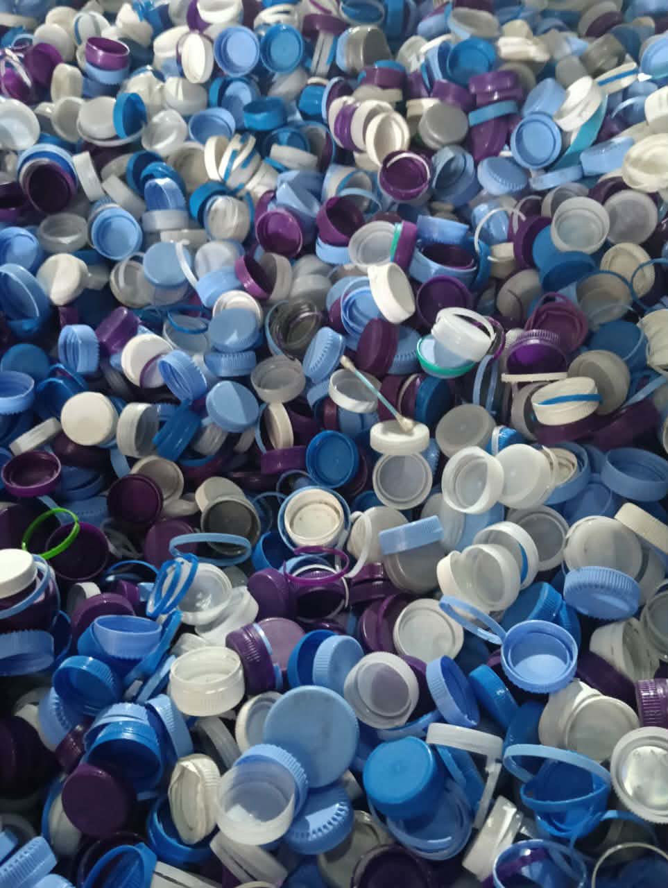 Plastic Bottle Caps